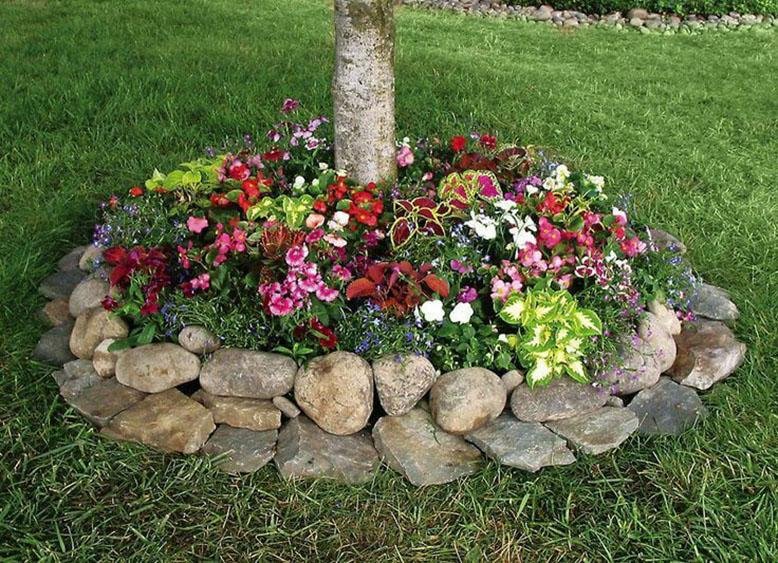 flower bed