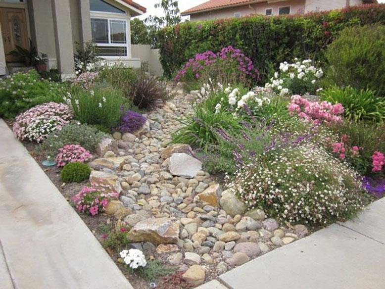 Xeriscaping Definition and Ideas | RC Willey