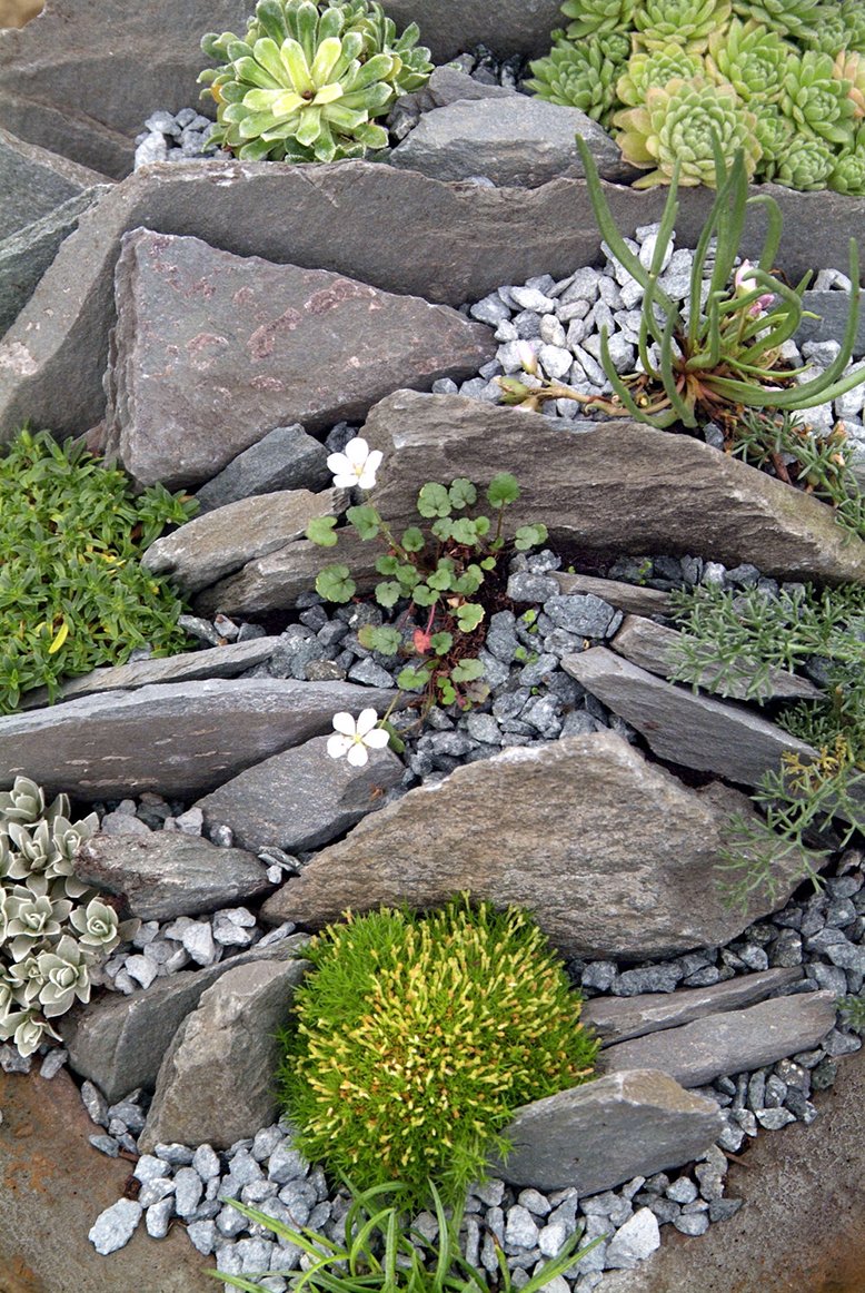 rock garden