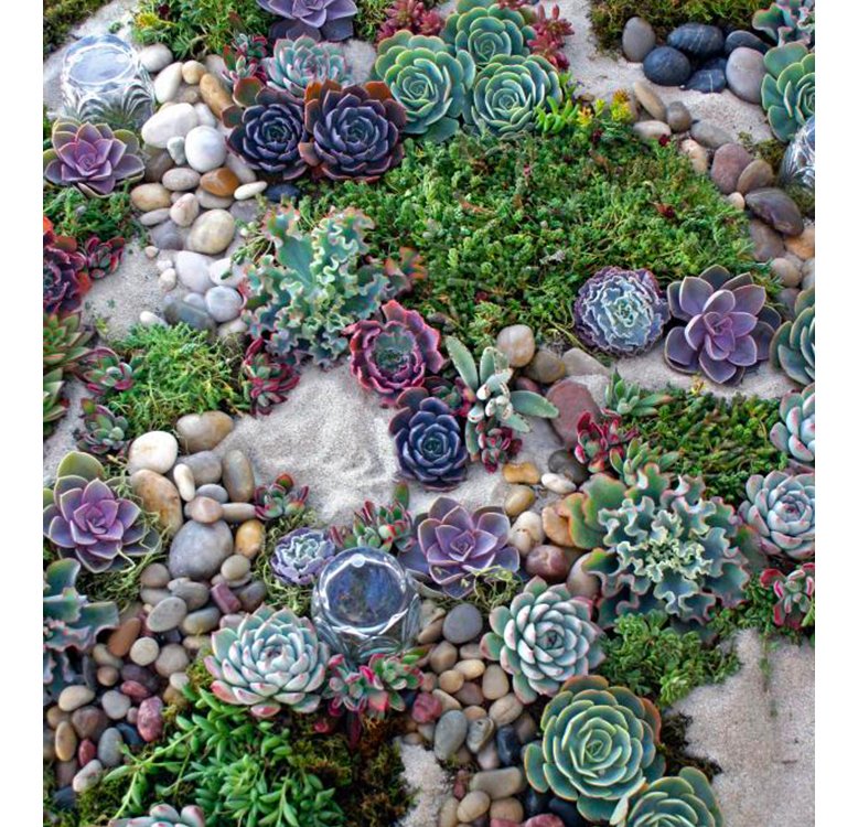 Rock Gardens | RC Willey Blog