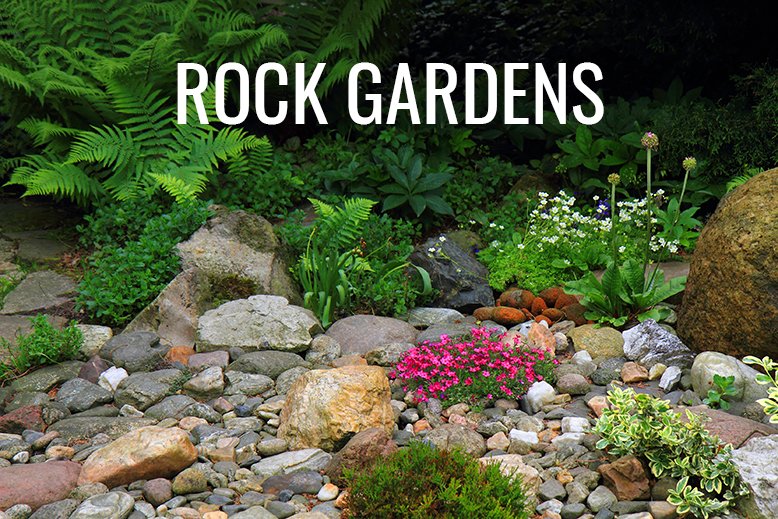 rock garden