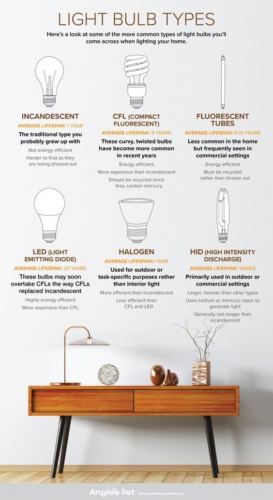 Light Bulb Guide - Light Bulb Types and Sizes Infographic