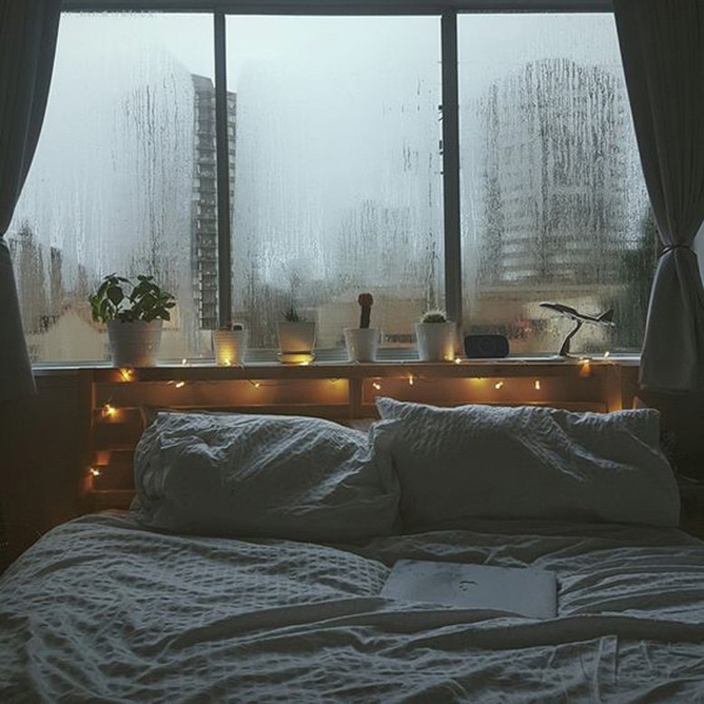 cozy room