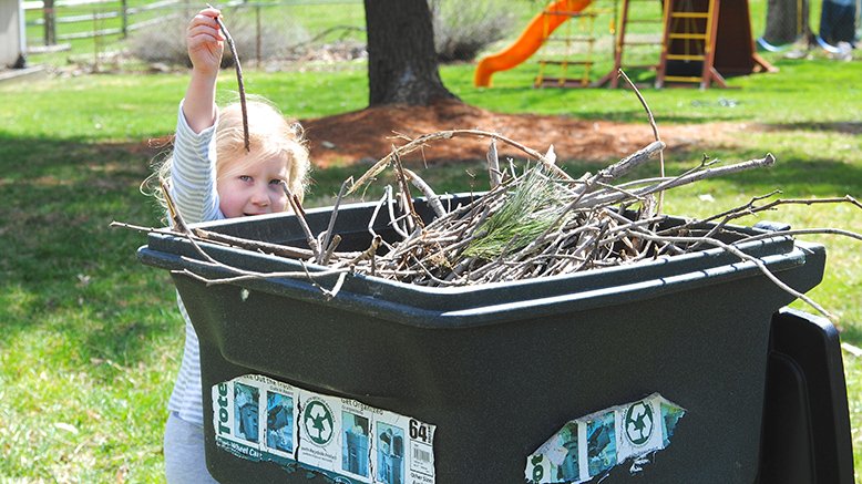 yard clean up