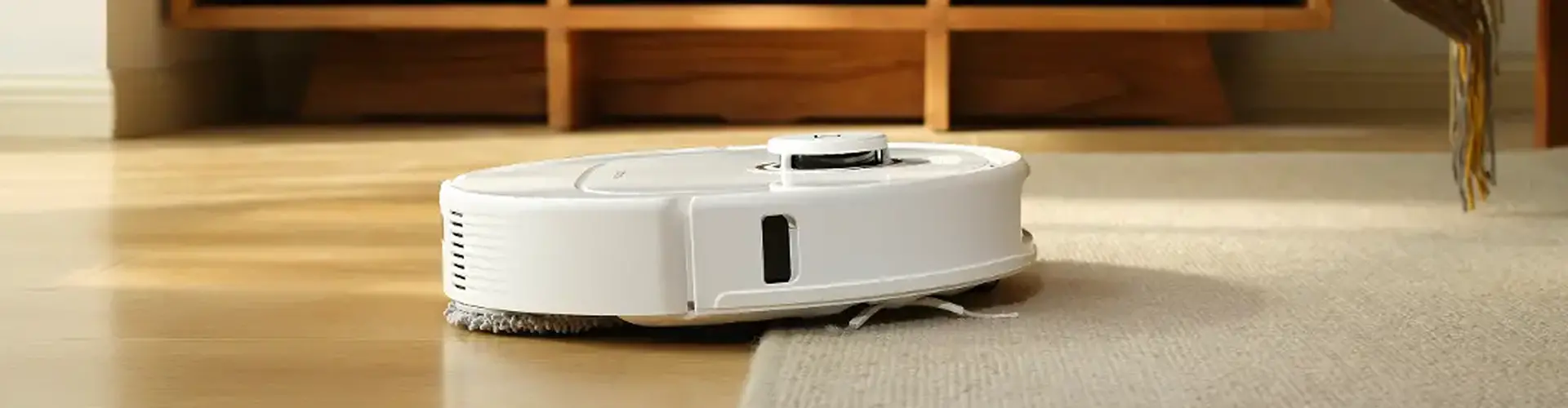 Roborock robot vacuum