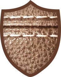 Leather Protection Sheild Logo