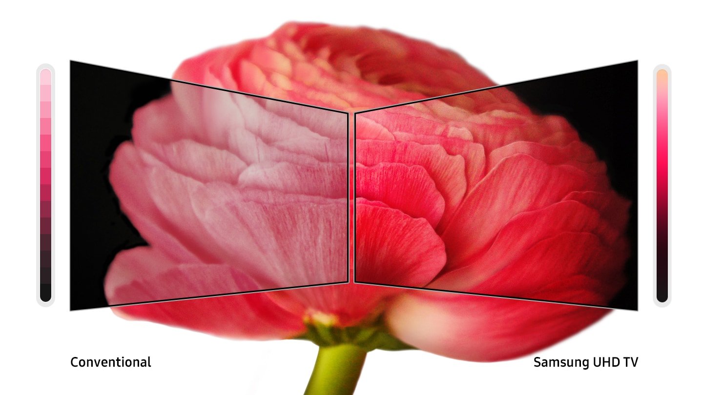 samsung purColor comparison