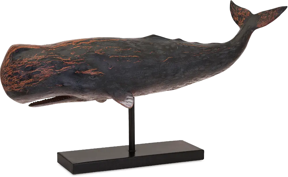 Pelagia Whale-1