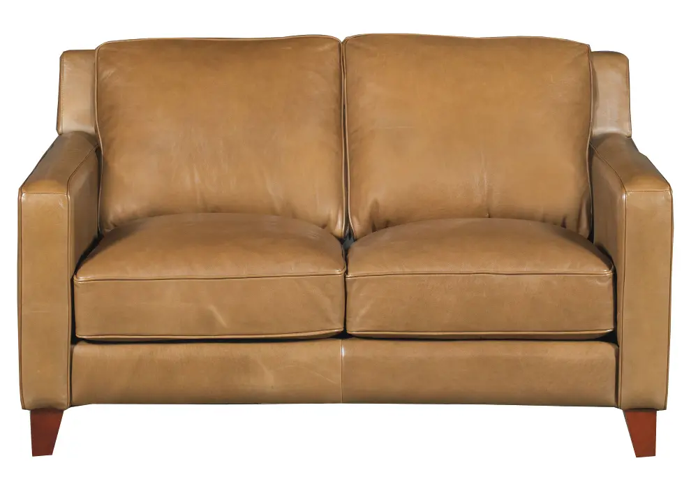Contemporary Classic Pecan Brown Leather Loveseat - Allure-1