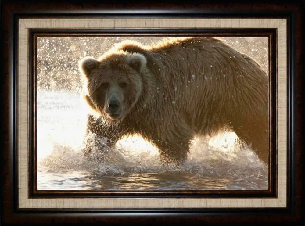 Grizzly Bear Foraging For Salmon Framed Wall Art-1