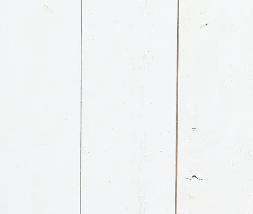 4'x 8' White Birch Plywood - Door Clearance Center