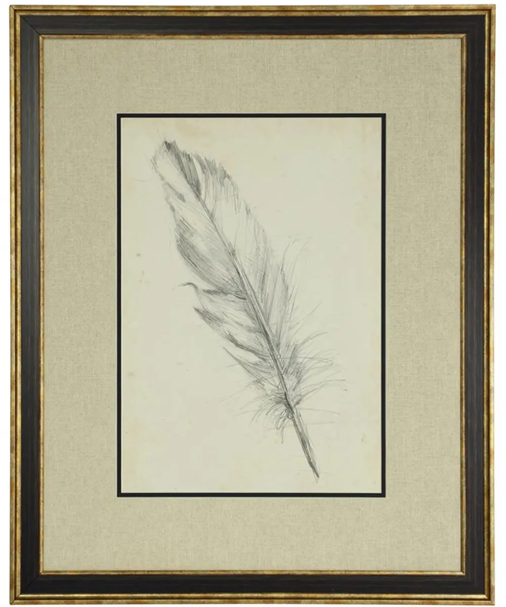 Feather Sketch III Framed Giclee Print Under Glass-1