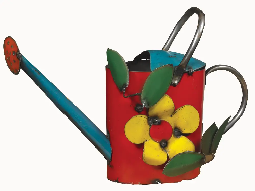 Metal Watering Can with Flower Decor-1