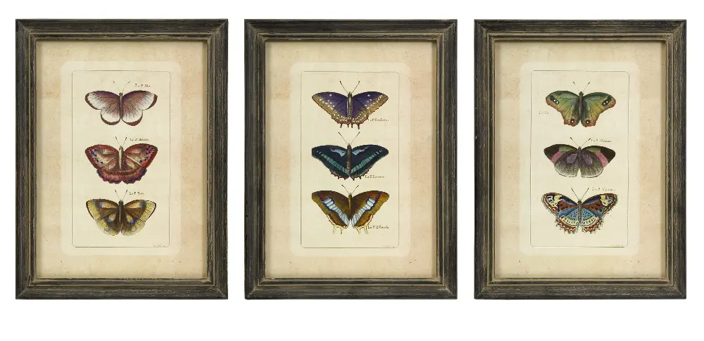 Assorted Butterfly Framed Wall Art-1