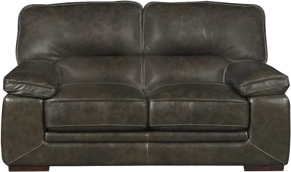 Casual Contemporary Graphite Gray Leather Loveseat - Sanibel -1