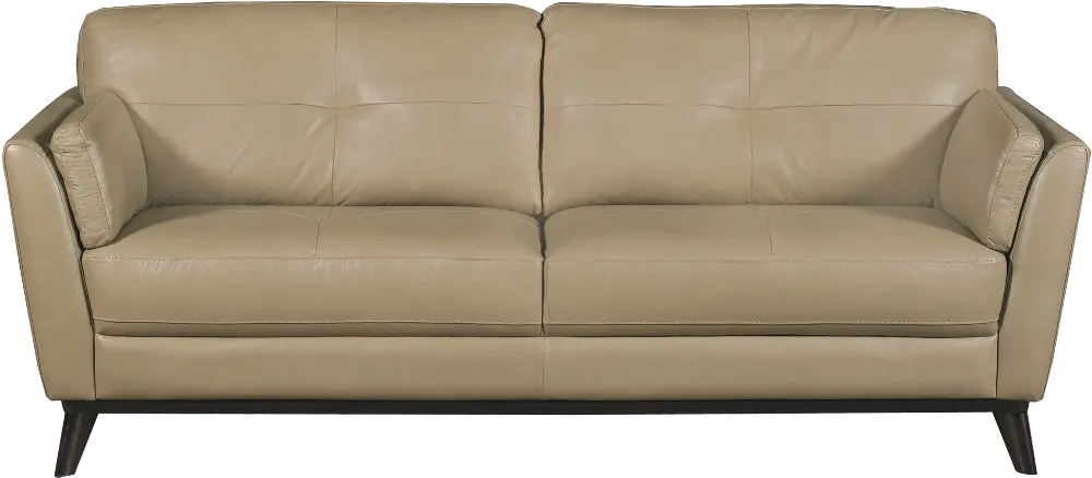 Modern Classic Taupe Leather Sofa - Nolan-1