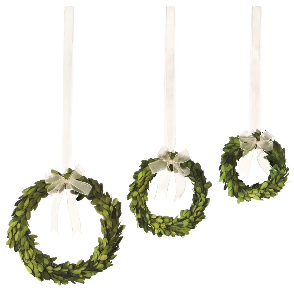 Set of 3 Preserved Boxwood Wreaths-1