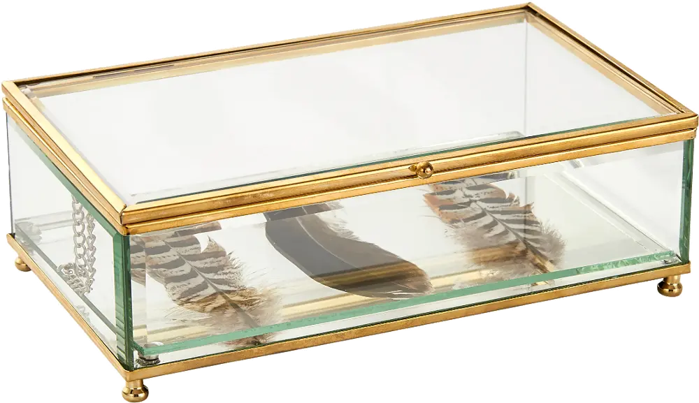 Decorative Glass Box with Feathers-1