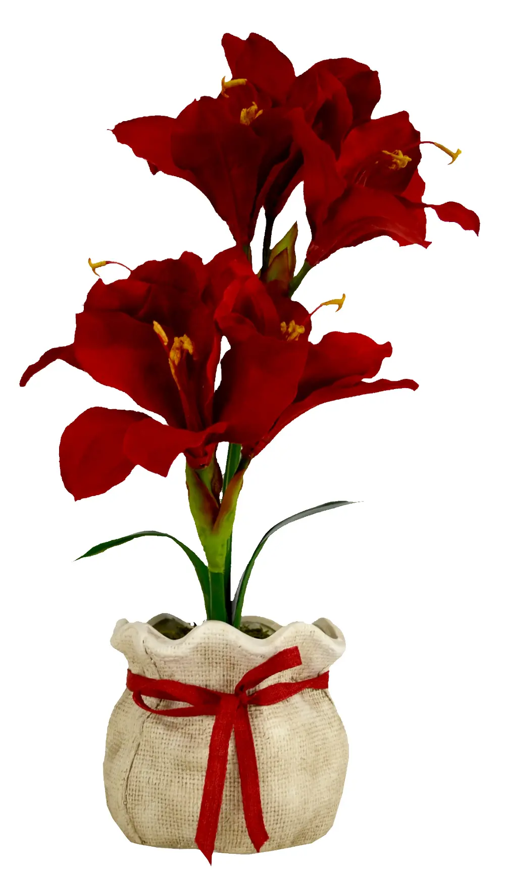 Red Amaryllis in Ceramic Burlap Pot-1