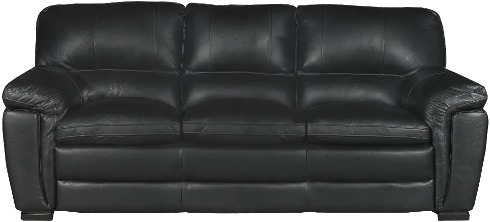 Tanner Casual Contemporary Black Leather Sofa-1