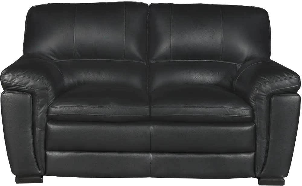 Tanner Casual Contemporary Black Leather Loveseat-1