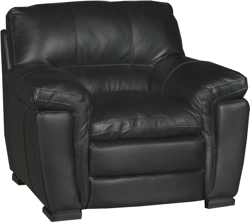 Tanner Casual Contemporary Black Leather Chair-1
