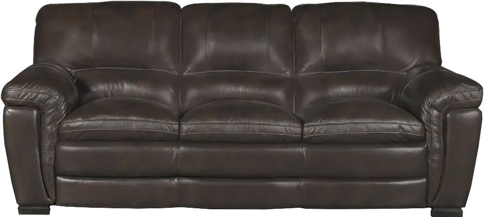 Tanner Casual Contemporary Brown Leather Sofa-1