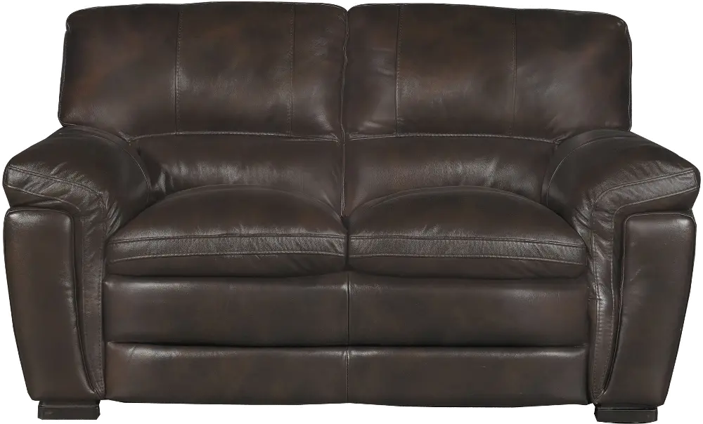 Tanner Casual Contemporary Brown Leather Loveseat-1