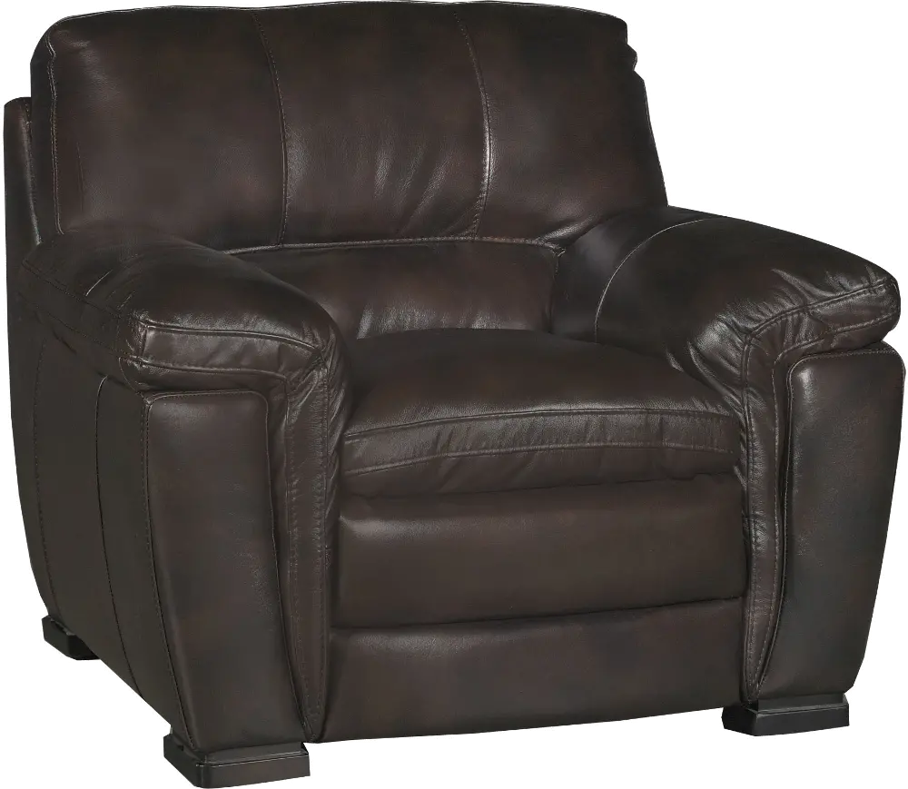 Casual Contemporary Brown Leather Chair - Tanner-1