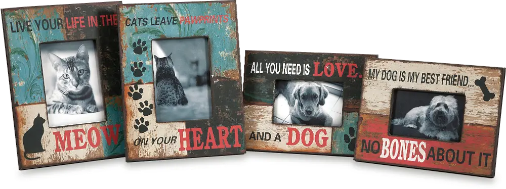 Assorted Dog or Cat Picture Frame-1
