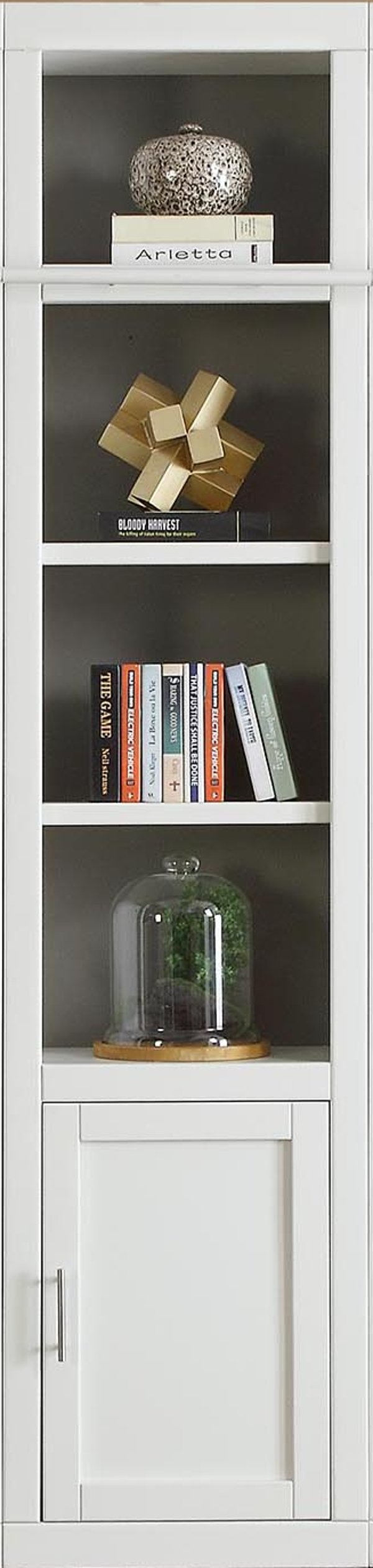 Bookcases Furniture Rc Willey 22 Inch Modern White Bookcase With Door Catalina