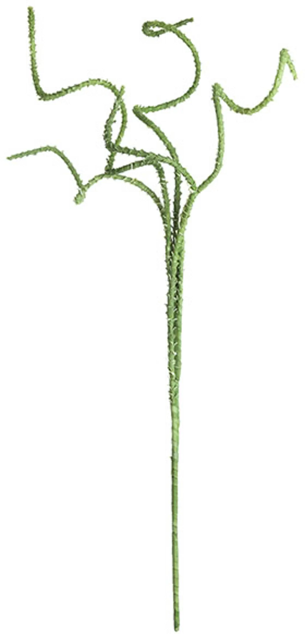 Green Curly Faux Botanical Stem for Arrangement-1