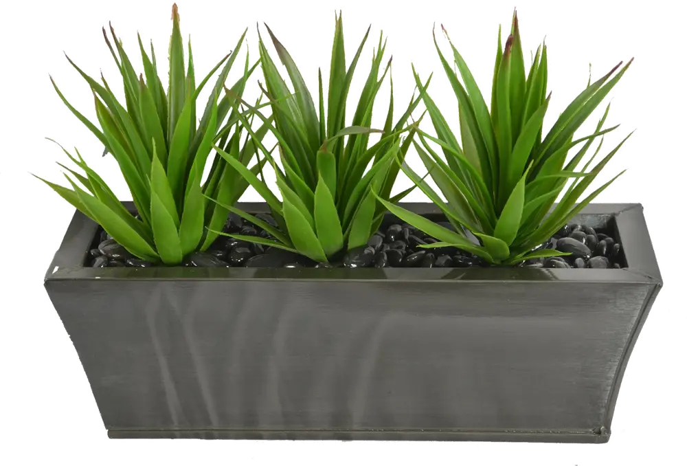 Triple Aloe Plants in a Zinc Ledge Planter Arrangement-1