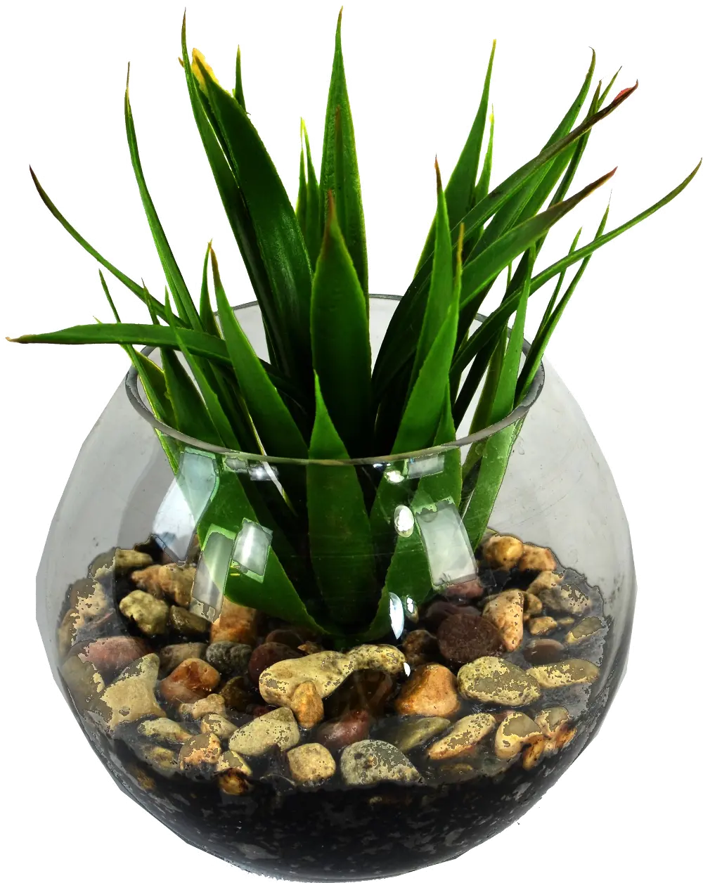 Faux Mini Yucca With Pebbles In Glass Bowl Arrangement-1