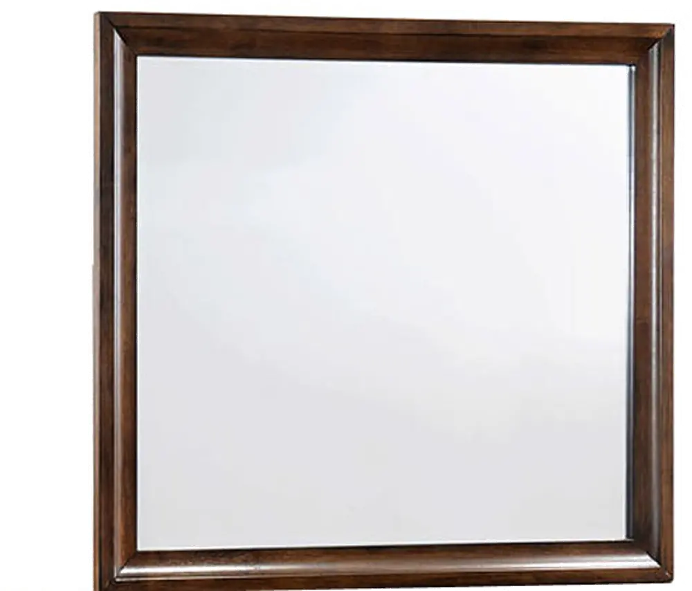 Tobacco Brown Classic Contemporary Mirror - Anthem-1