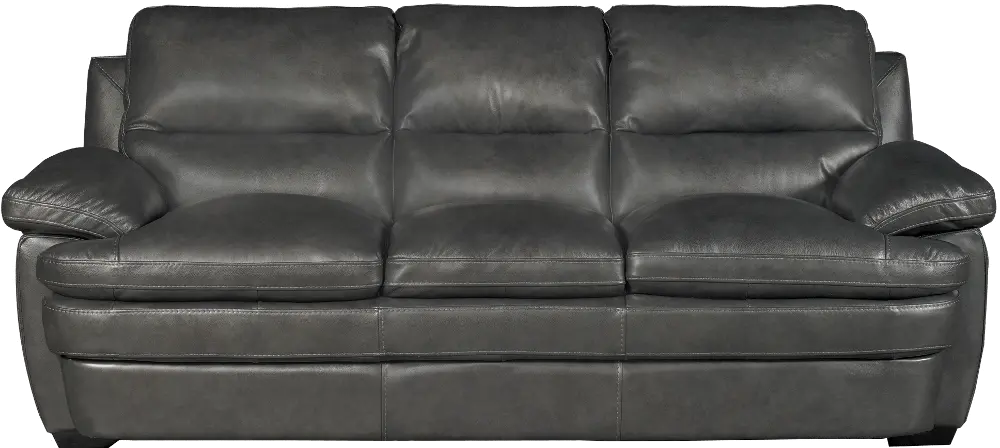 Casual Contemporary Slate Leather Sofa - Plano-1
