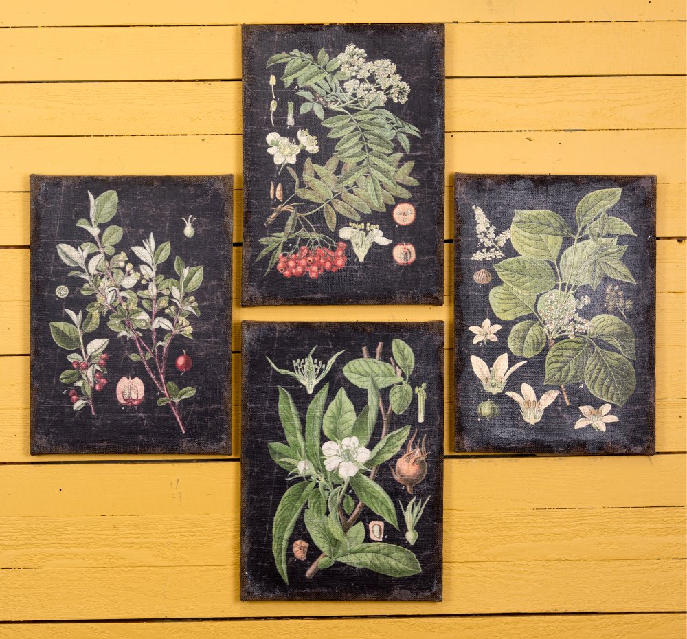 Orted Botanical Wall Art On A Black Background Rc Willey Orted Botanical Wall Art On A Black Background Rc Willey Furniture