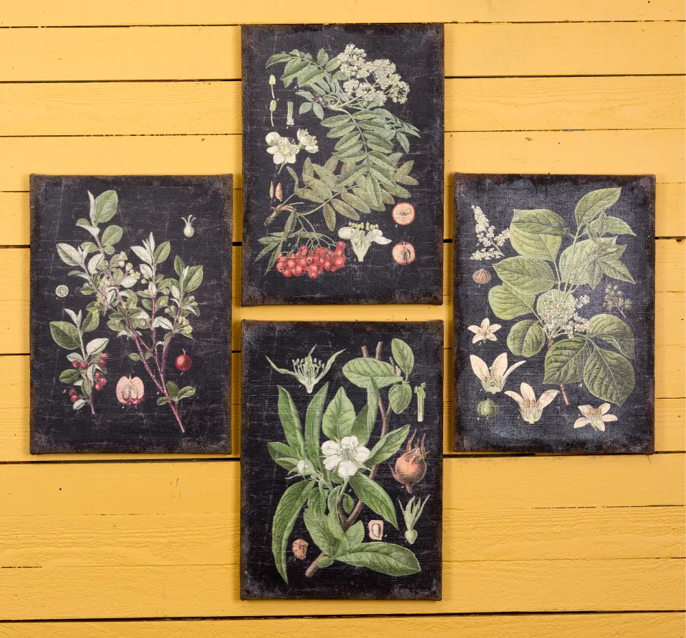 Assorted Botanical Wall Art on a Black Background-1