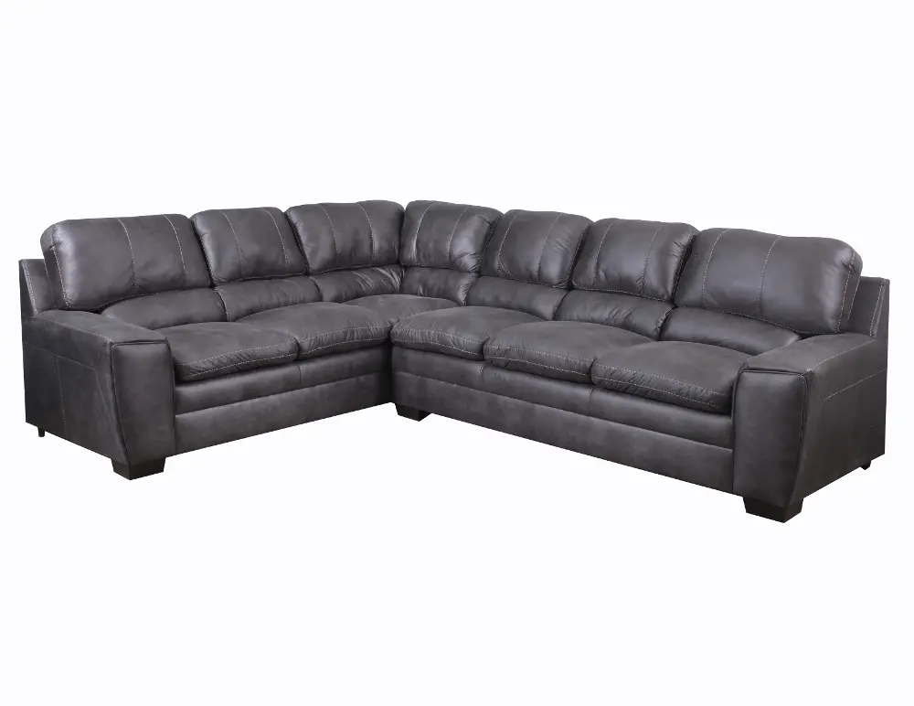 Contemporary Gray 2 Piece Sectional Sofa - Caruso-1