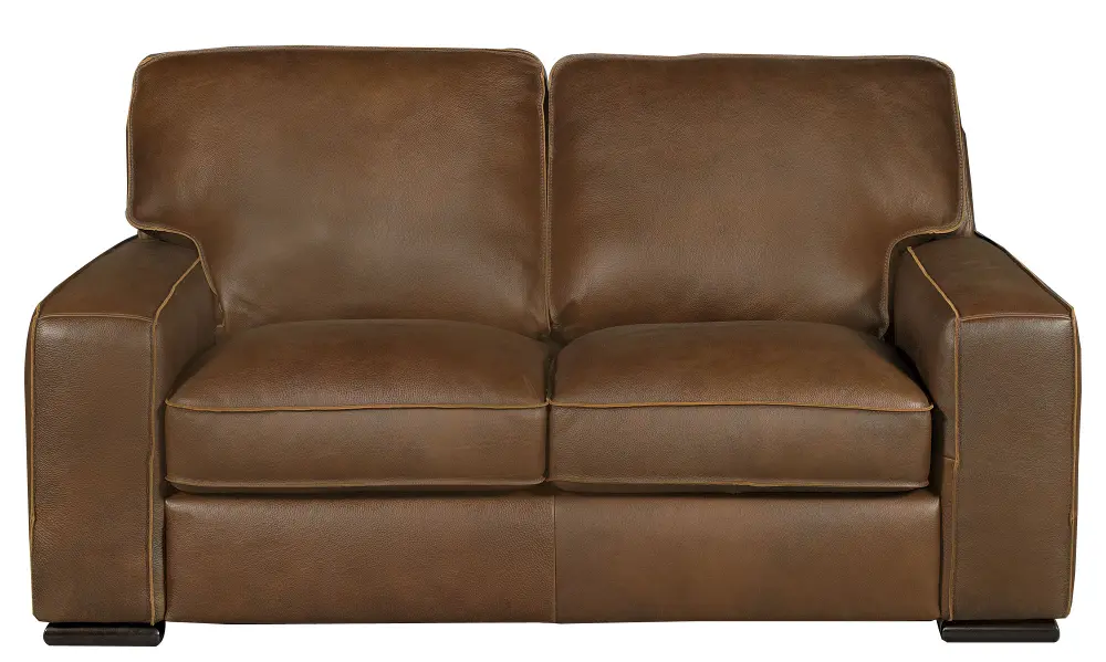 91-B858-005/30JA/LV Contemporary Brown Leather Loveseat - Vincenzo-1