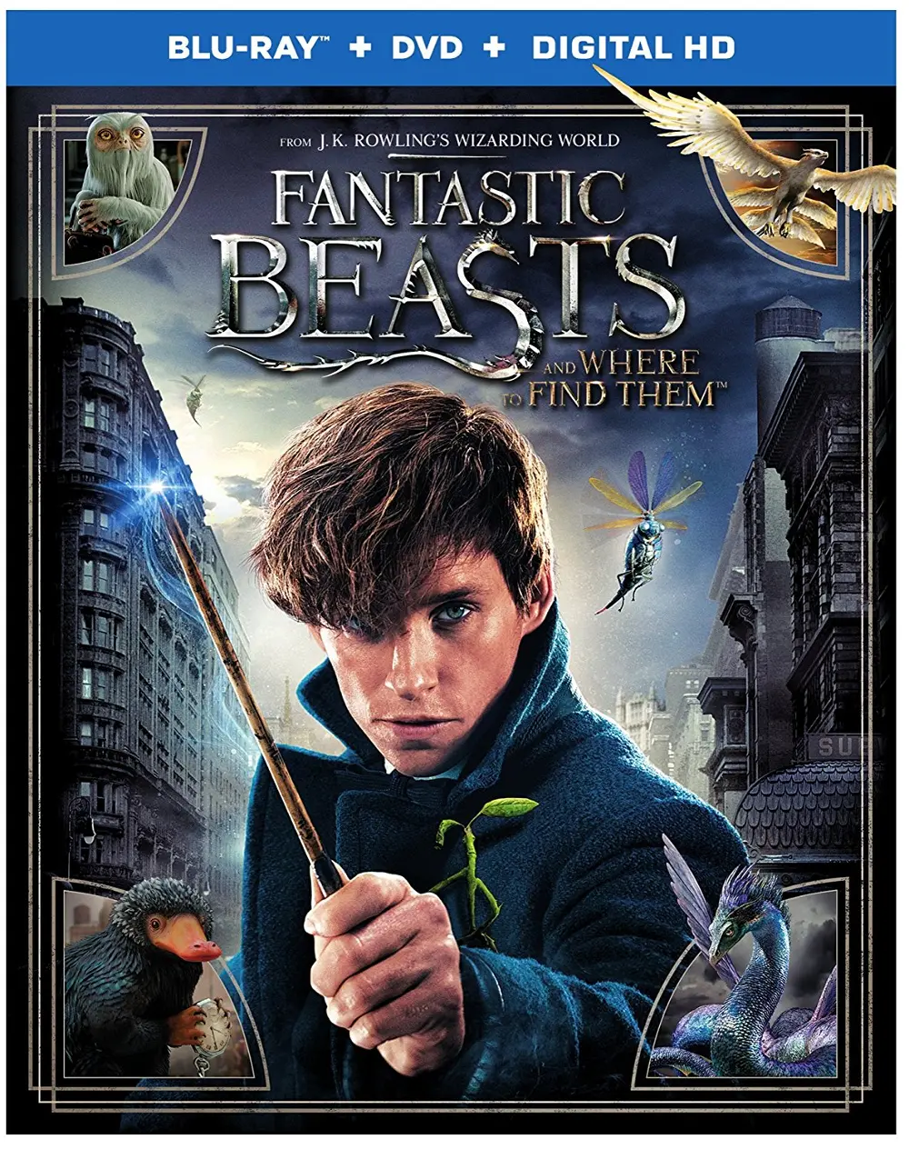 Fantastic Beasts and Where to Find Them (Blu-ray + DVD + Digital HD)-1