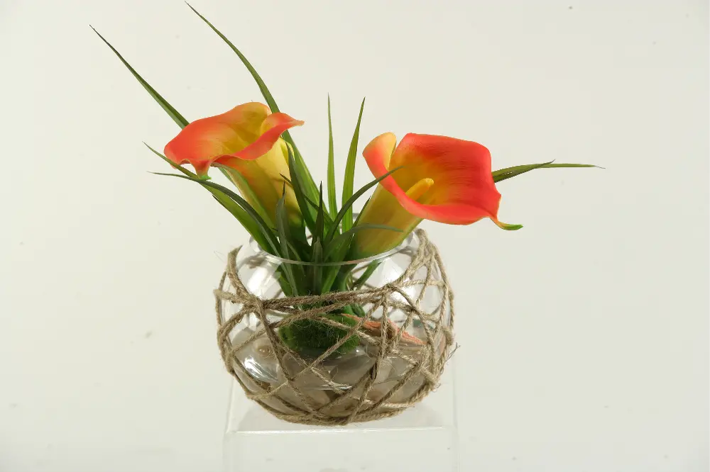 Orange Calla Lilies Arrangement in Bowl with Sea Grass-1