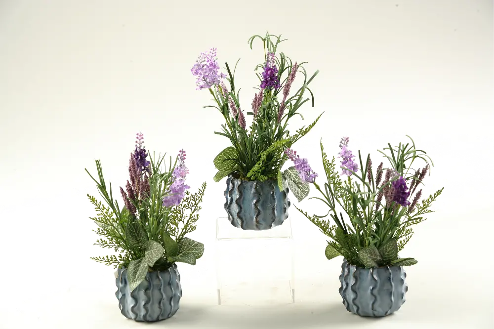Assorted Lavender Ceramic Planter Arrangement-1