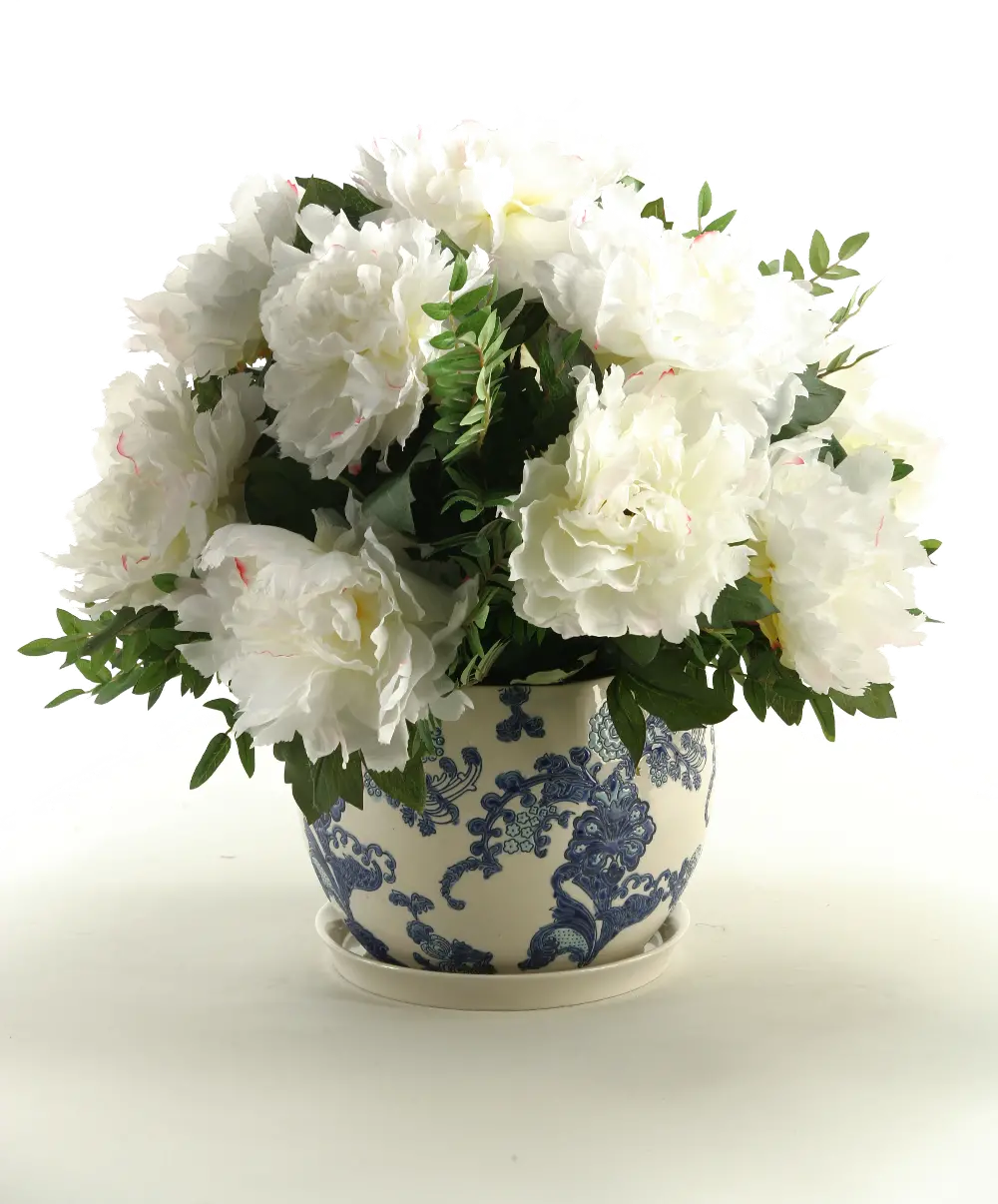 Cream Peonies Arrangement In a Ceramic Blue and White Planter-1