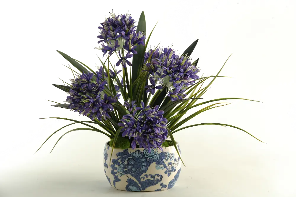 Blue Agapanthus Arrangement In Oval Blue and White Bowl-1
