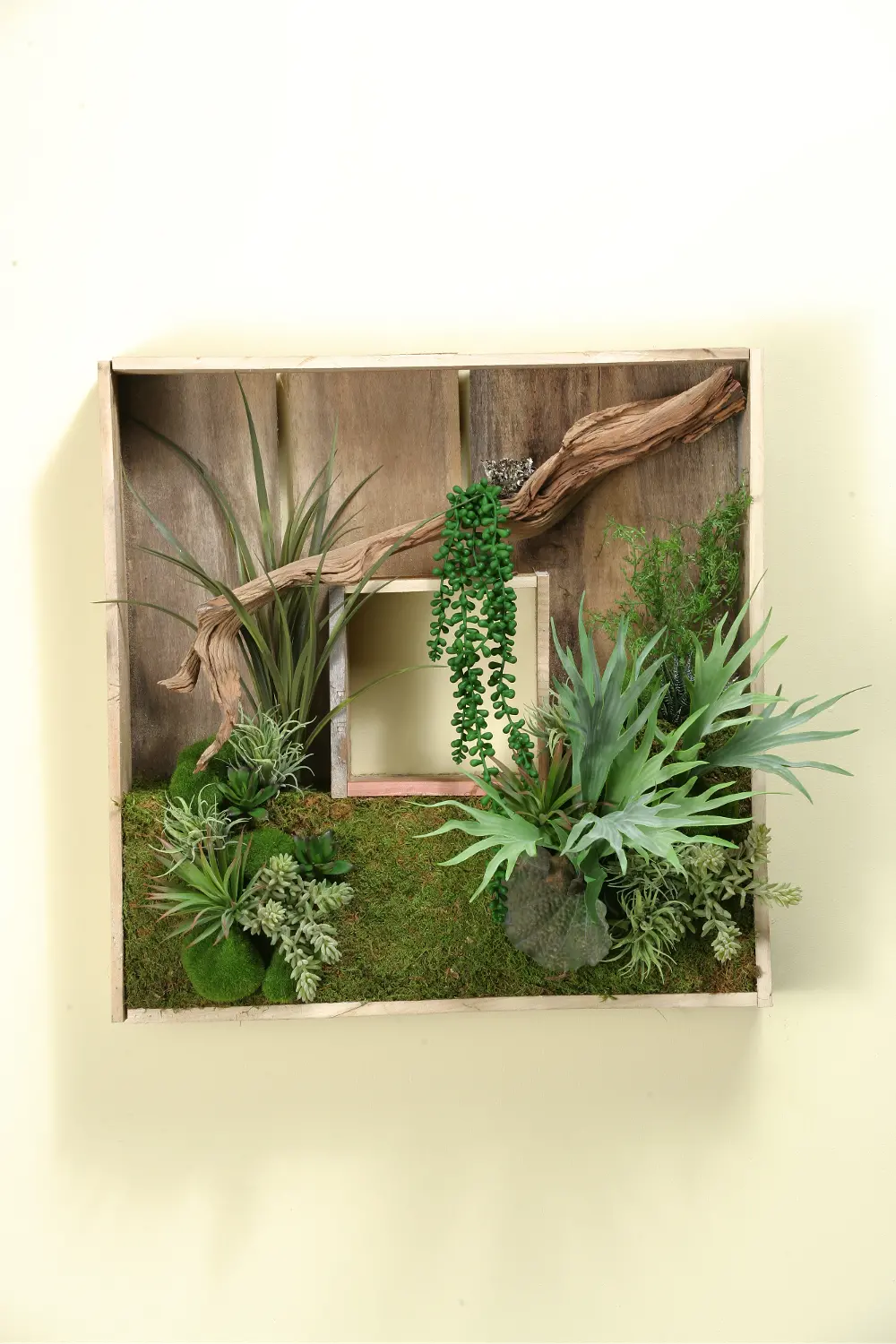 Square Wooden Shadow Box Arrangement with Mixed Succulents-1