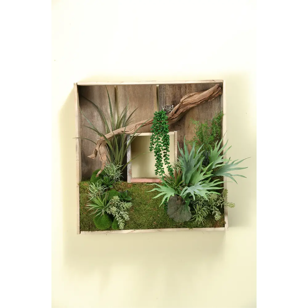 Square Wooden Shadow Box Arrangement with Mixed Succulents-1
