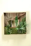 Square Wooden Shadow Box Arrangement with Mixed Succulents