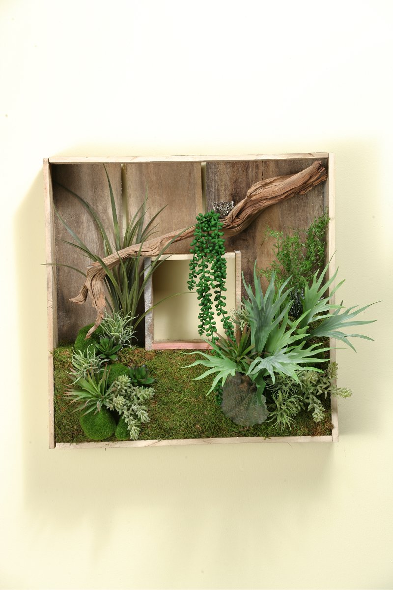 Square Wooden Shadow Box Arrangement with Mixed Succulents | RC Willey ...