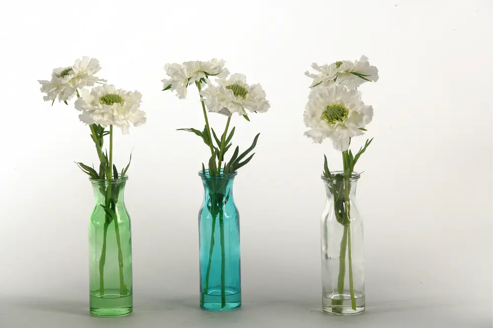 Assorted White Scabiosa Arrangement in Colored Glass Vases-1